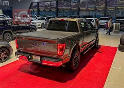 فۆرد F-150